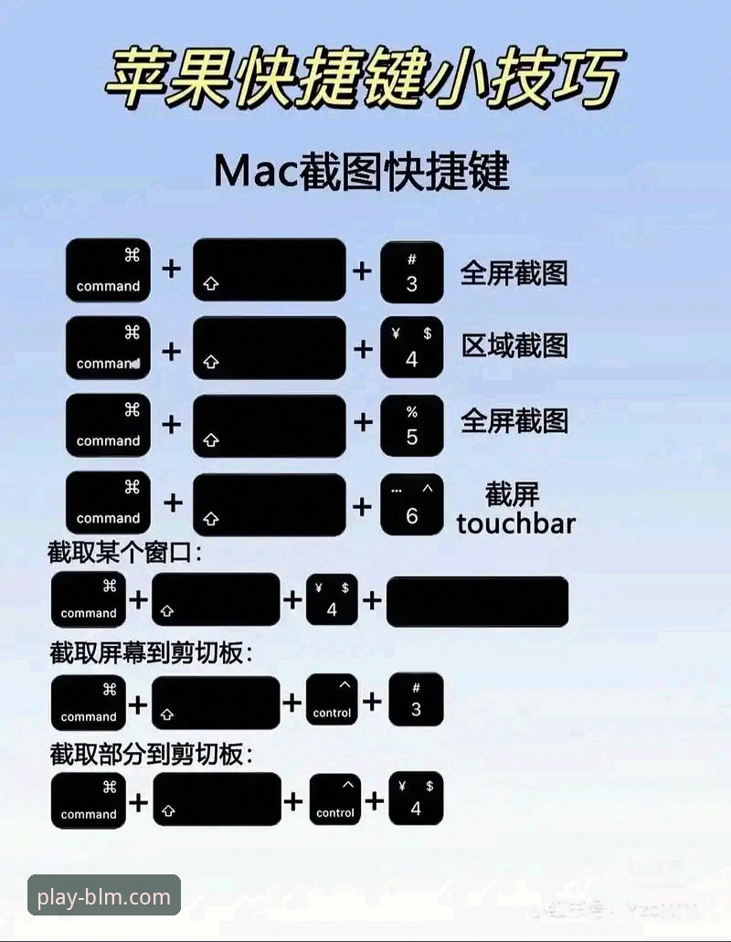 百乐门软件平台新手指南：功能体验实用技巧与必备知识