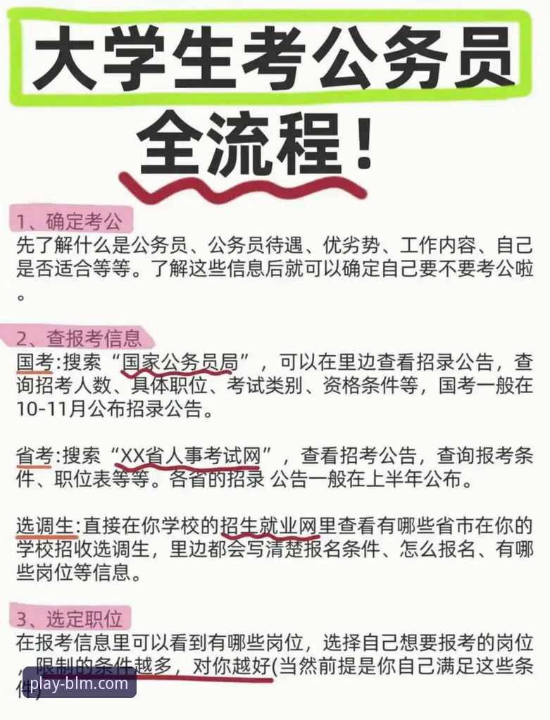 百乐门电脑版全面解析：从下载安装到实战操作的全流程指南